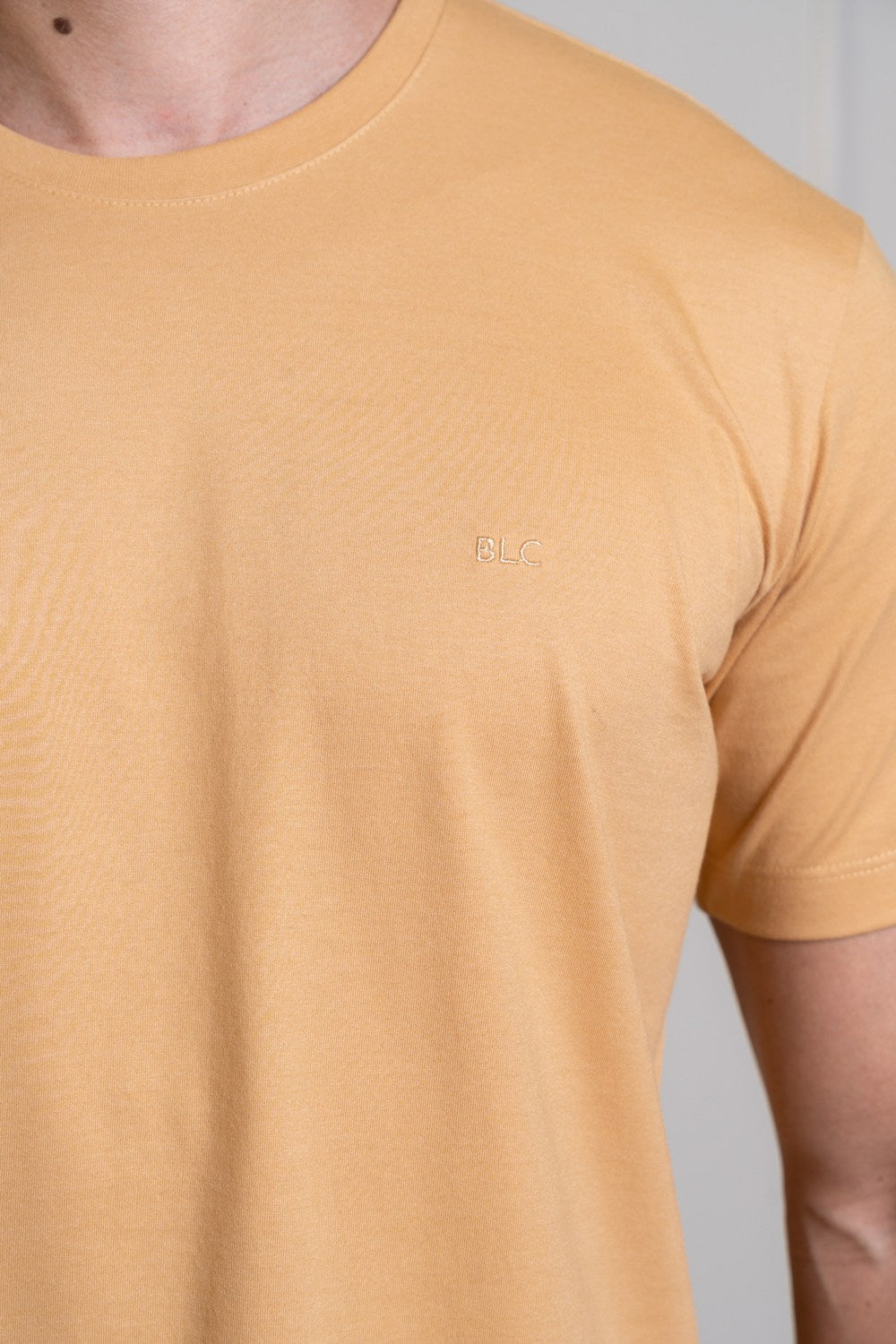 CAMISETA BÁSICA BLC